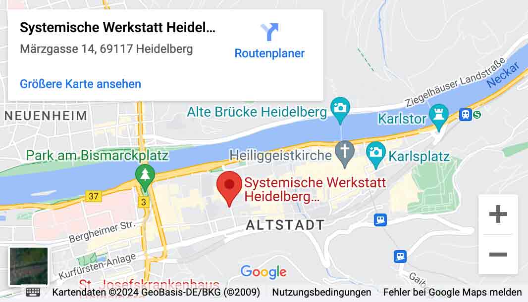 Screenshot des Google Maps Eintrags (Desktop-Ansicht)