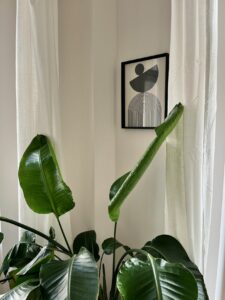 Foto von Raum 8 - Dekoration