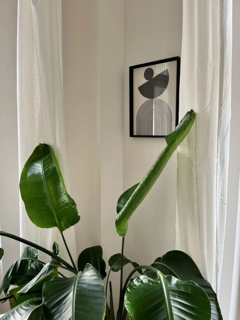 Foto von Raum 8 - Dekoration